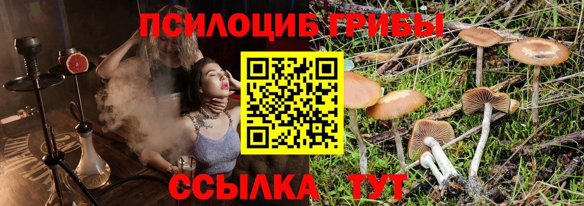 Псилоцибиновые грибы Cubensis Реж