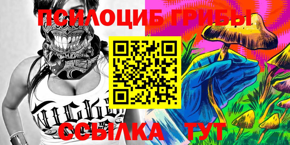 Галлюциногенные грибы Psilocybine cubensis  Вход с VPN  Реж 